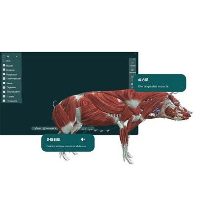 MR Animal Anatomy 3D Enhanced Interactive System